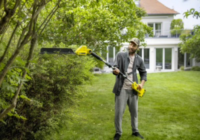 Teleskop Heckenschere