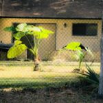 Modernisierung Eigenheim