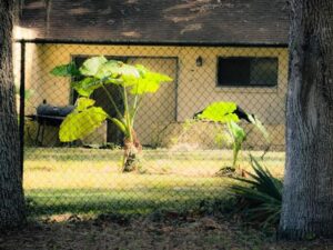 News – Modernisierung des Eigenheims Intelligente Technologien für Haus und Garten