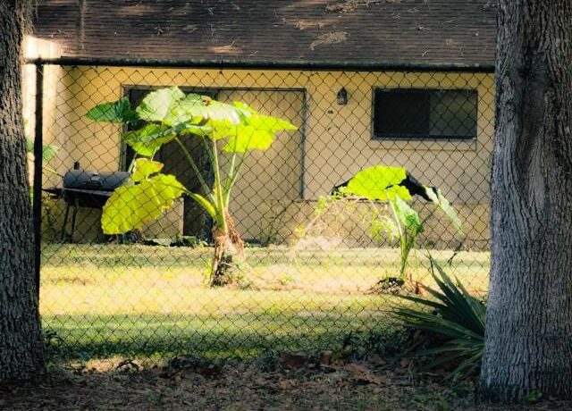 Modernisierung Eigenheim