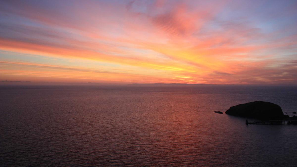 Bauerngarten Anlegen