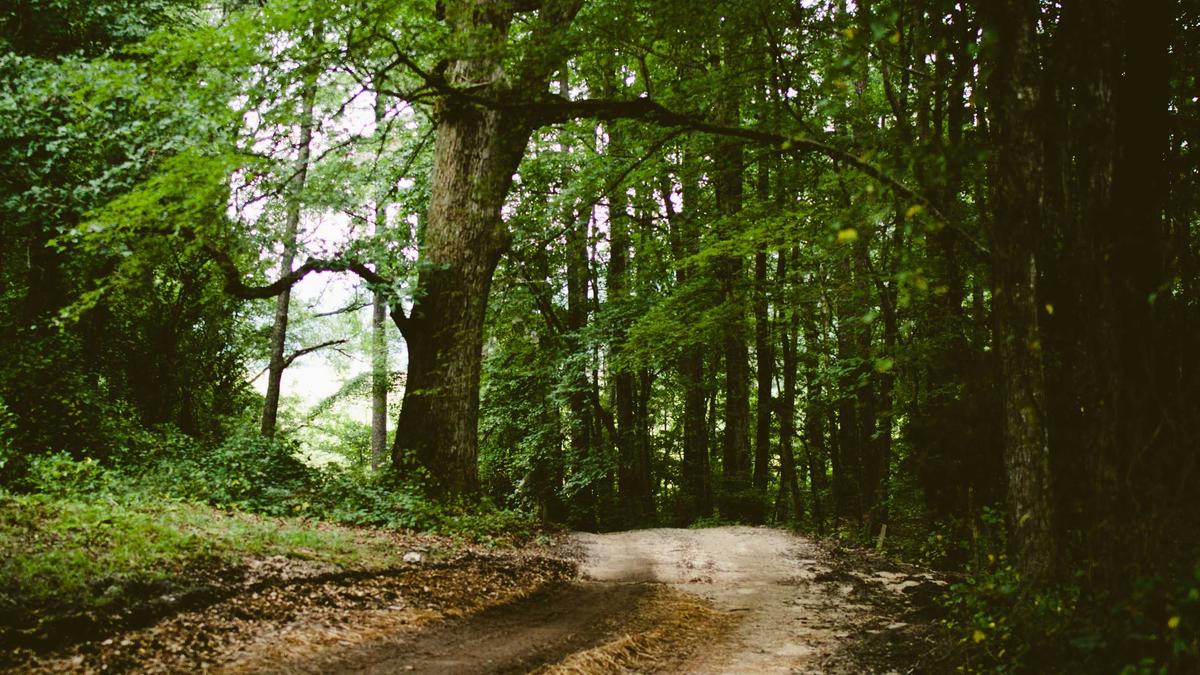 Fassadenrisse Vermeiden