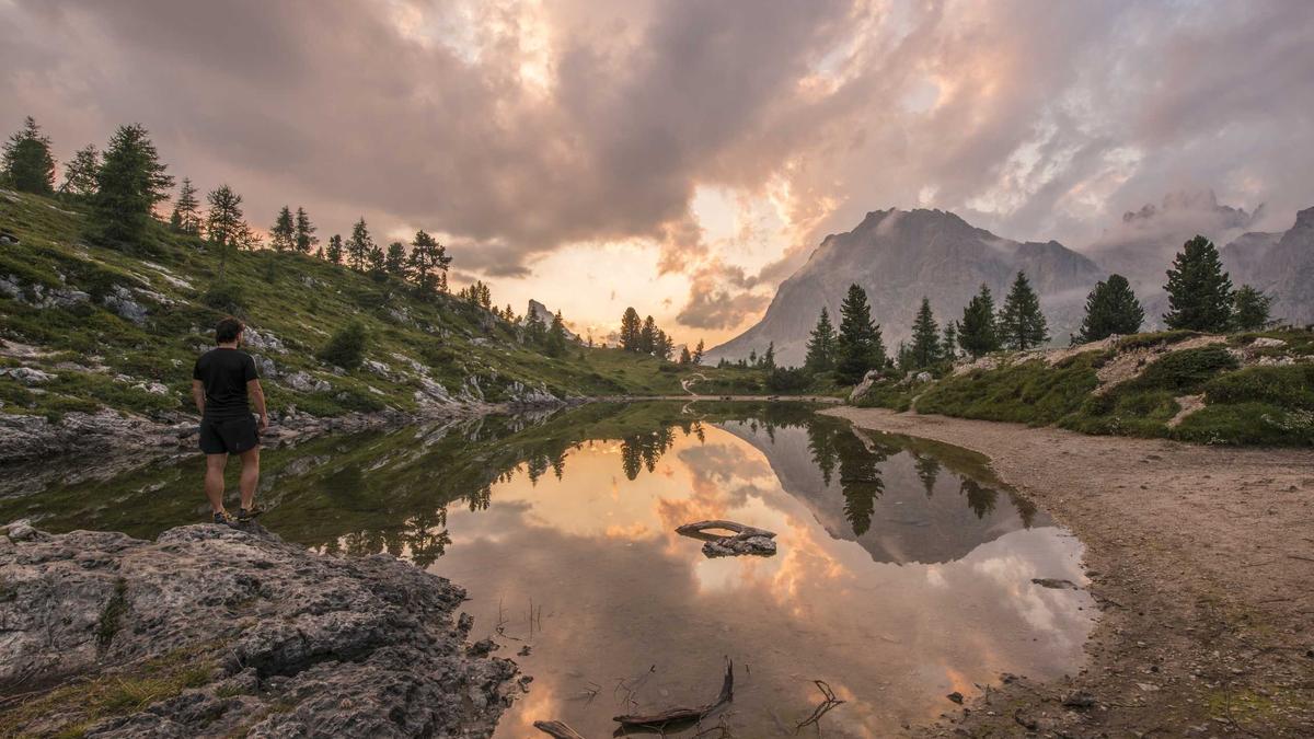 Furnier Arbeitsplatte