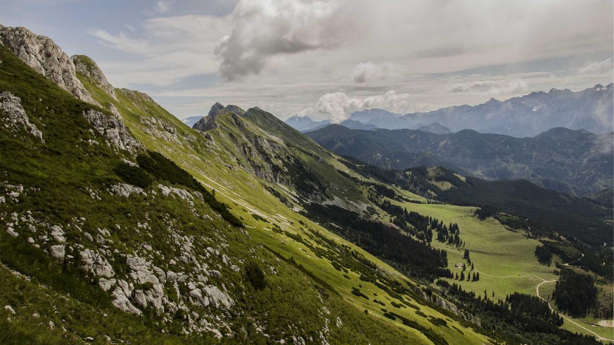 Intelligente Gartenarbeit