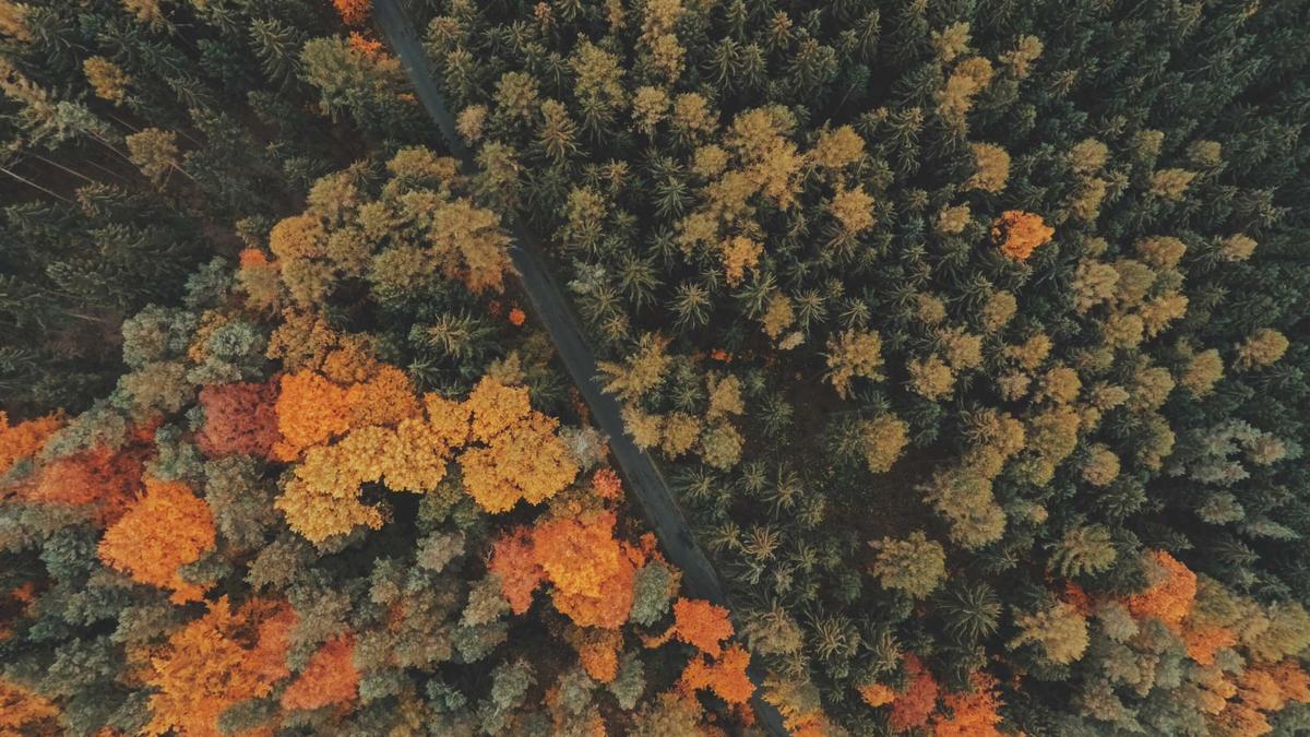 Kärcher Waschsauger