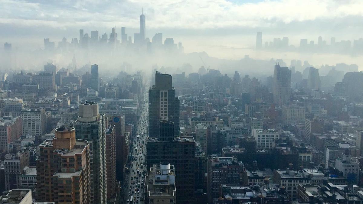 Kräuterseitlinge Züchten