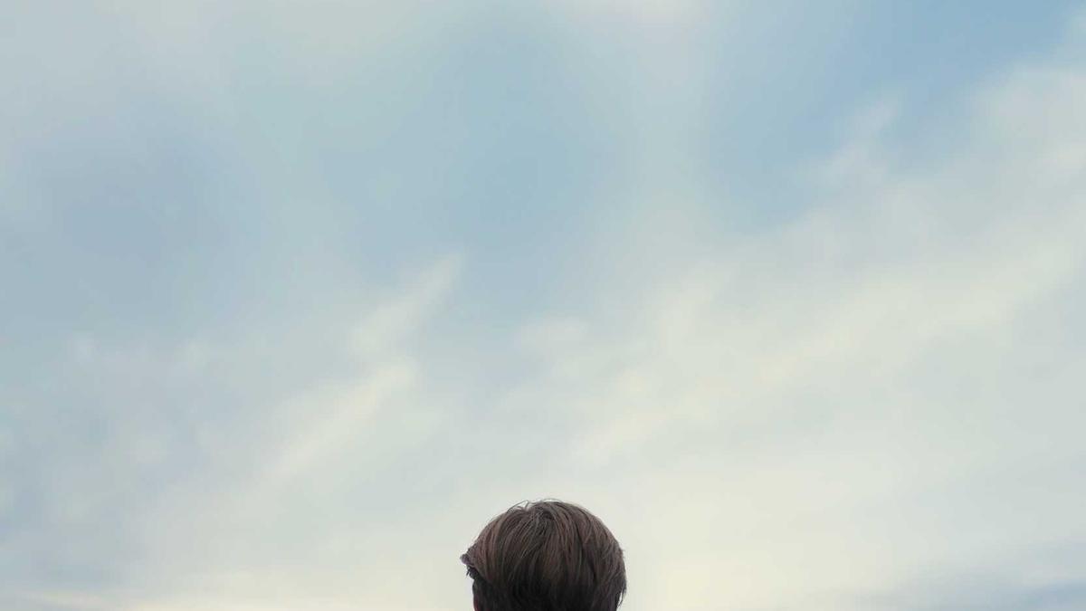 Rasen Frühling Rasen Frühling