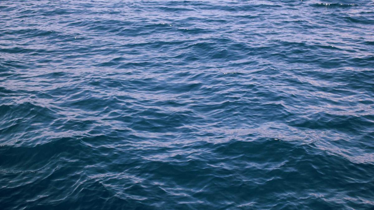 Rasenroboter Vergleich