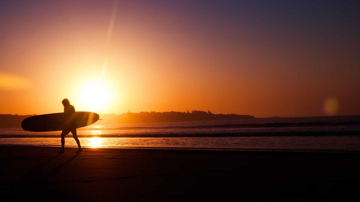 Scheppach Freischneider Scheppach Freischneider