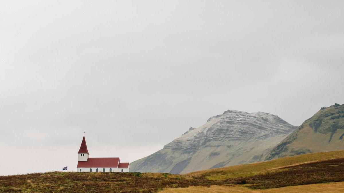 Teleskop Heckenschere
