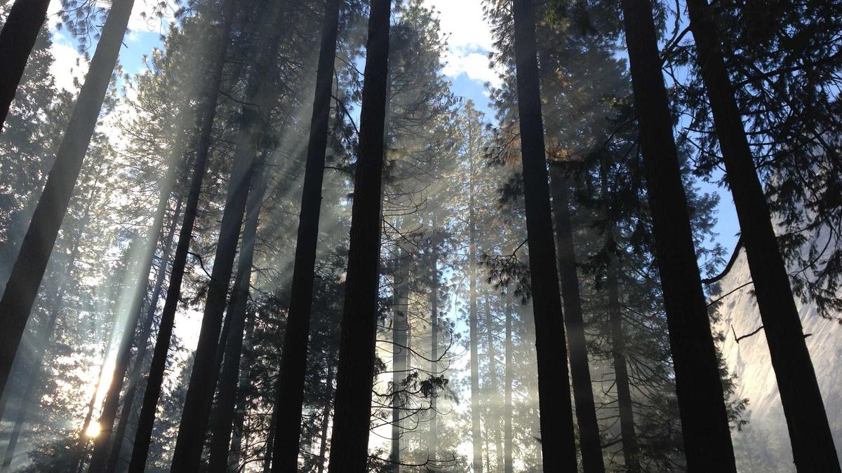 Unterkellerung Beton