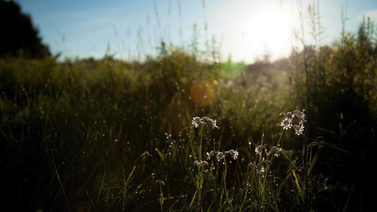 Werkstatt Einrichten