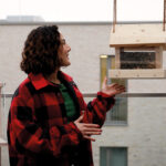 Vogelhaus Selber Bauen