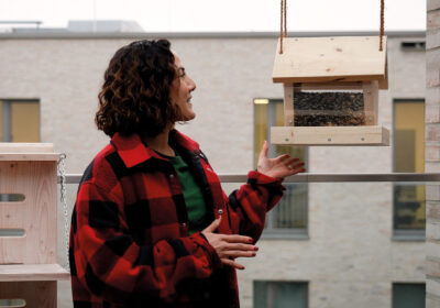 Vogelhaus Selber Bauen