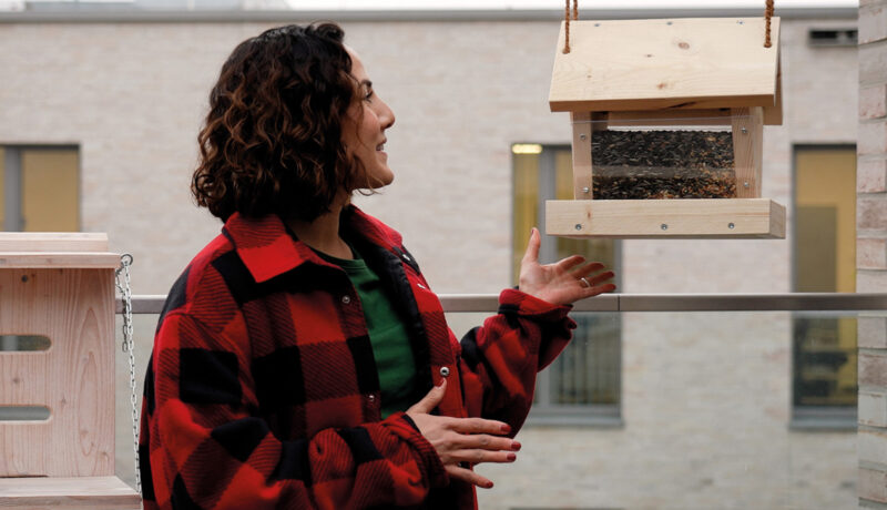 Vogelhaus Selber Bauen