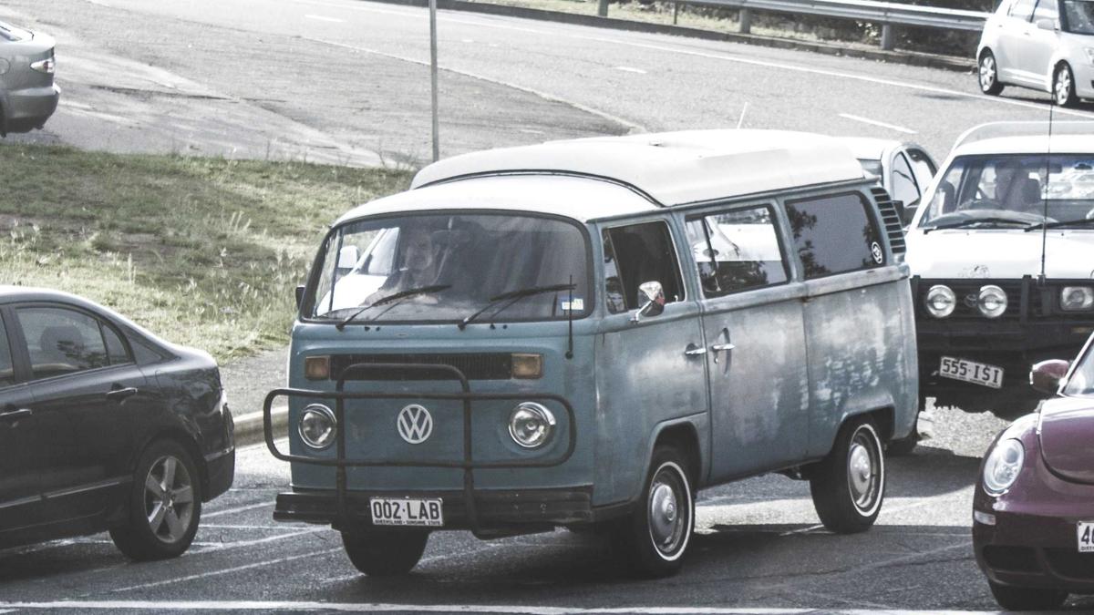 Ausdauerndes Silberblatt Ausdauerndes Silberblatt