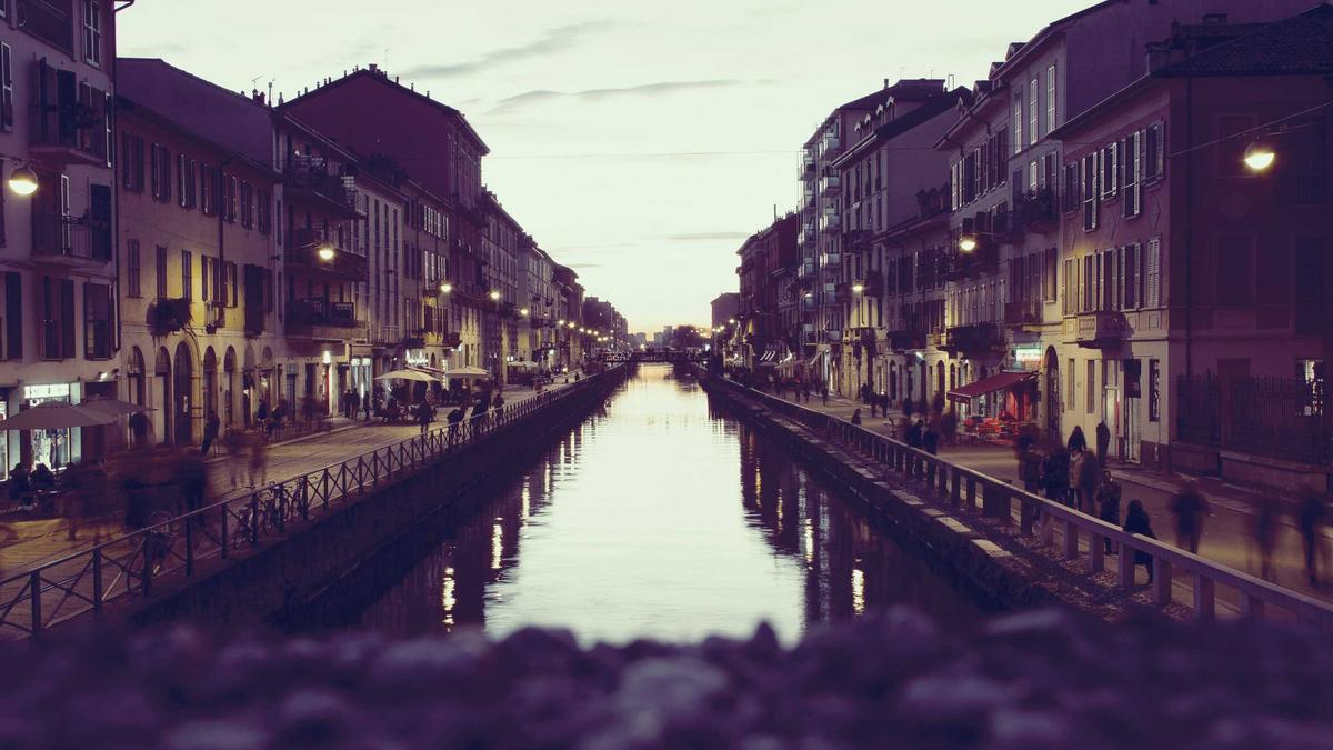 Ausdauerndes Silberblatt Ausdauerndes Silberblatt