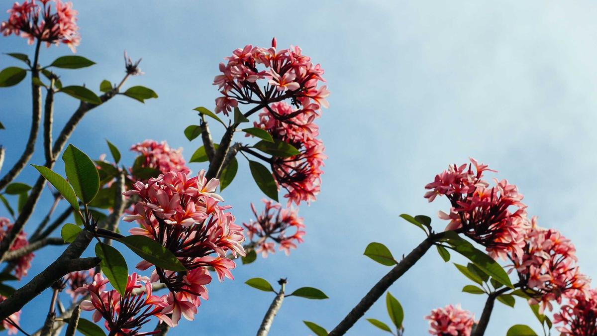 Blechbearbeitungsmaschine