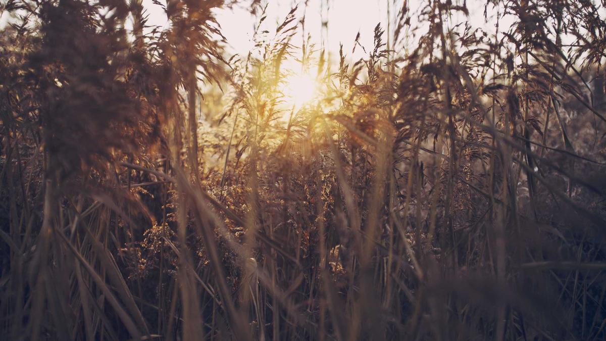 Blechbearbeitungsmaschine