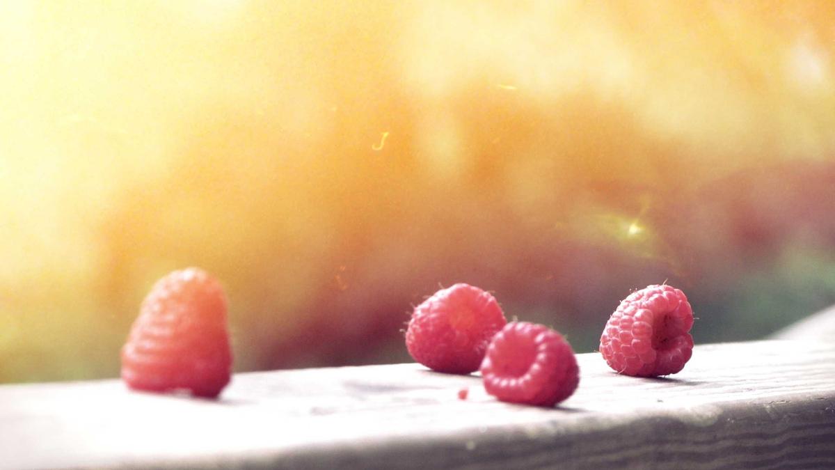 Heizung Umstellung Heizung Umstellung