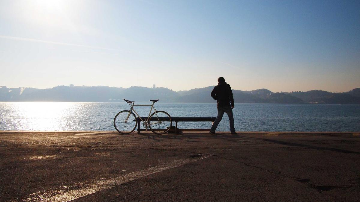 Johannisbeeren Pflanzen