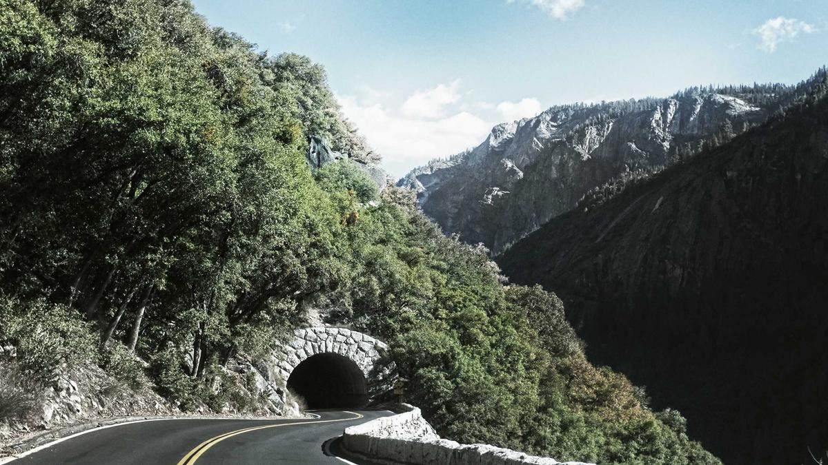 Rasenpflege Frühling