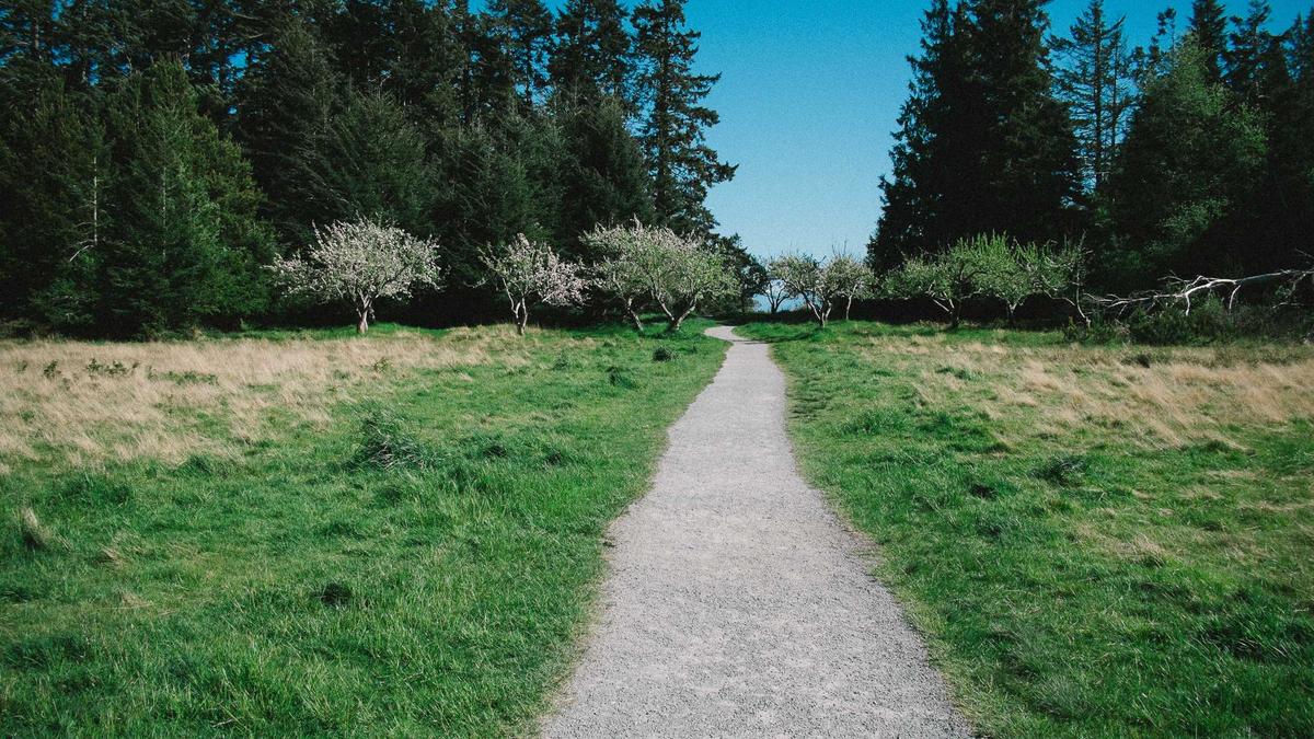 Trockeneisstrahlgerät Test