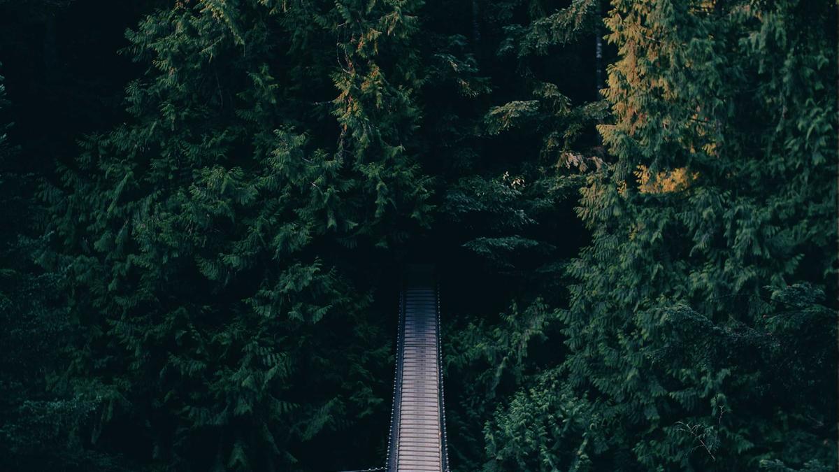 Unkrautfuchs Test Unkrautfuchs Test