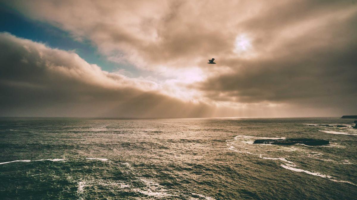 Vogelhaus Selber Bauen