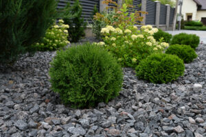 News – Kiesgarten anlegen So entsteht ein gelungener Mix aus Blütenpracht und Steingarten