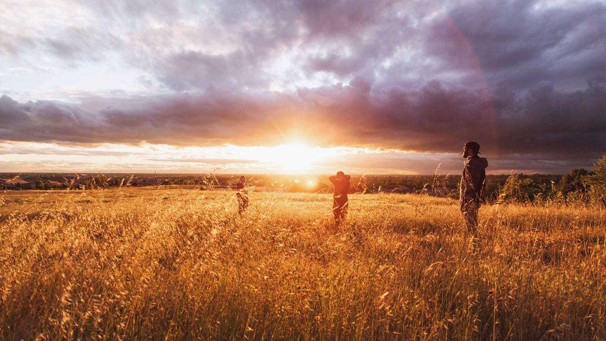 Gipskartondübel Gipskartondübel