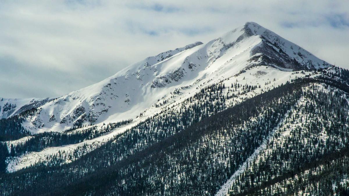 Kiesgarten Anlegen Kiesgarten Anlegen