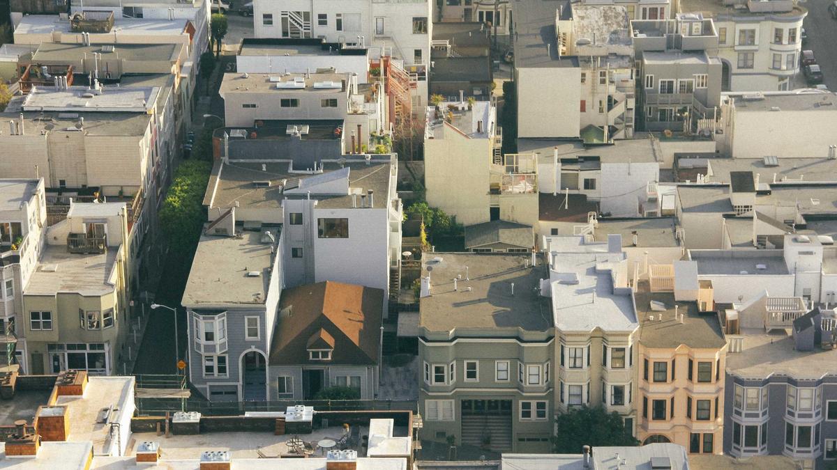 Nesselblättrige Glockenblume