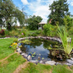 Pool Teich Sanierung