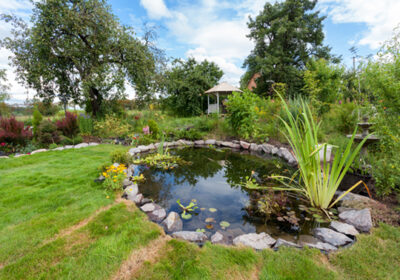 Pool Teich Sanierung