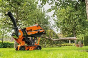 Test – ElietProf 6 Cross Country