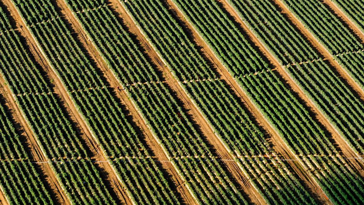 Gartenbeleuchtung Ideen Gartenbeleuchtung Ideen