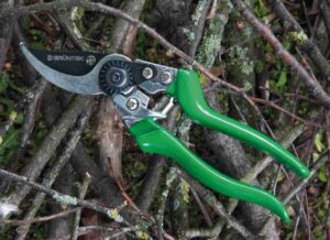 Test – Grüntek Falke und Bussard